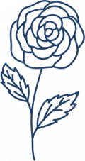 sf-5-oqdjvaw0vvxog5fu5lt5l8vvv7e94he965xd6tz1em-1.png